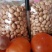 2022新白沙花生米食品厂超市电商专用规格可以电一件代发