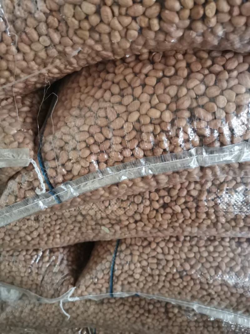 2022新白沙花生米食品厂超市电商专用规格可以电一件代发