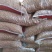 2022新白沙花生米食品厂超市电商专用规格可以电一件代发