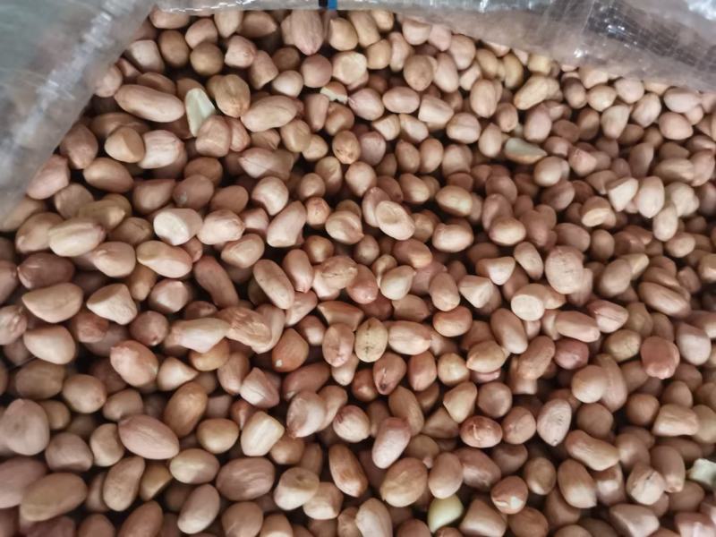2022新白沙花生米食品厂超市电商专用规格可以电一件代发