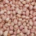 2022新白沙花生米食品厂超市电商专用规格可以电一件代发