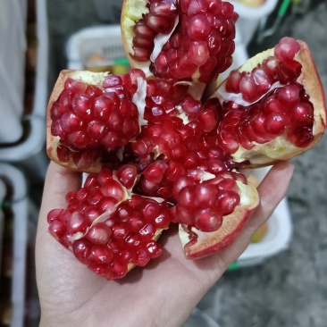 突尼斯软籽石榴，产地直发，一手货源，支持一件代发