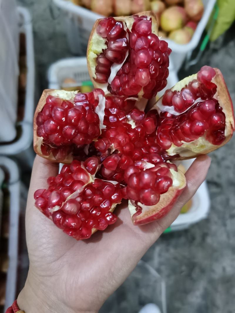 突尼斯软籽石榴，产地直发，一手货源，支持一件代发