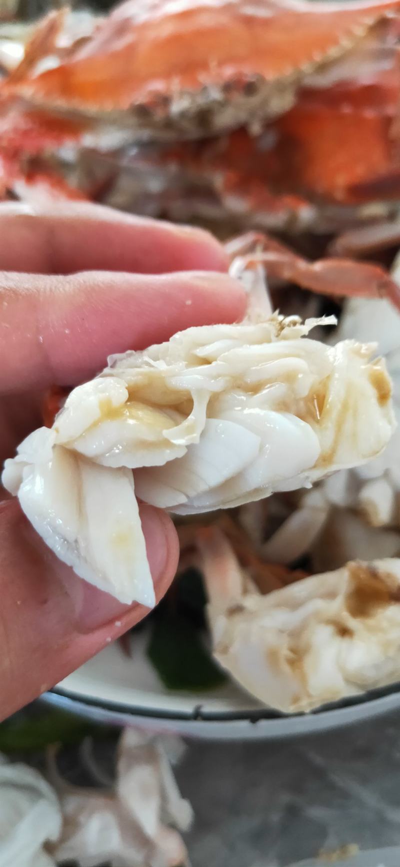 精品梭子蟹，连云港本地小船货，远海梭子蟹，大公蟹，三角