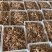 【带黄皮皮虾】带膏皮皮虾，母皮皮虾，虾爬子濑尿虾虾姑