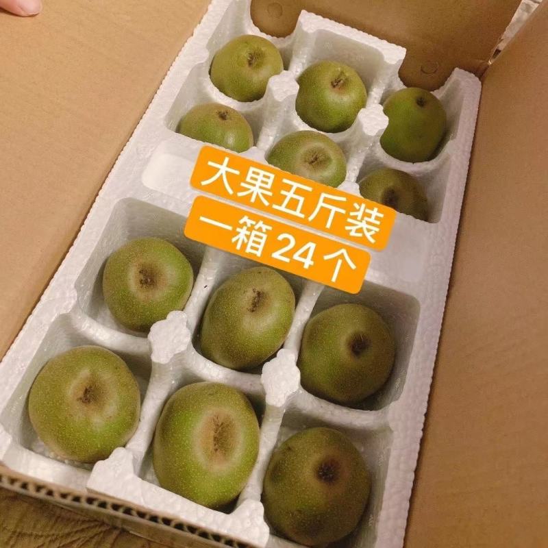 红心獼猴桃