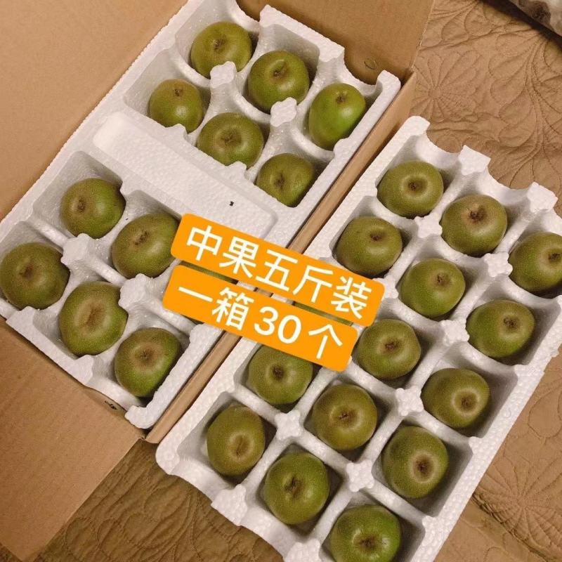 红心獼猴桃