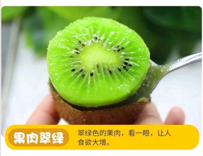 翠香猕猴桃周至县原产地鲜果包邮