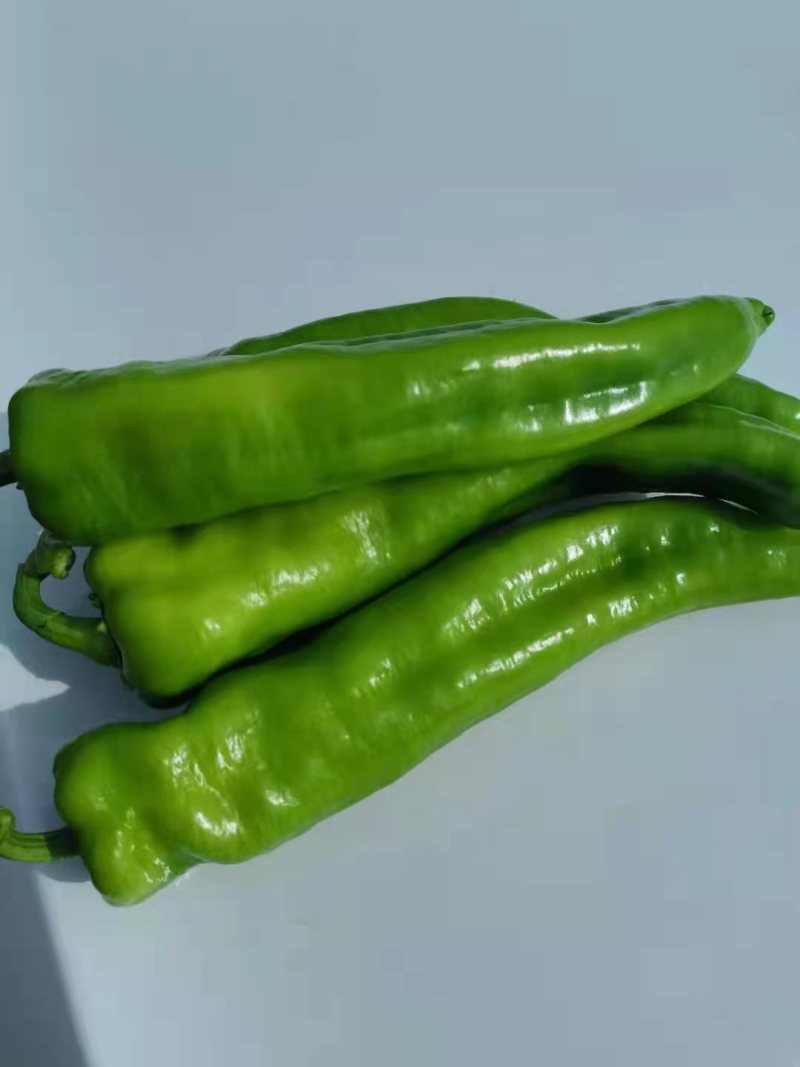 绿皮辣椒