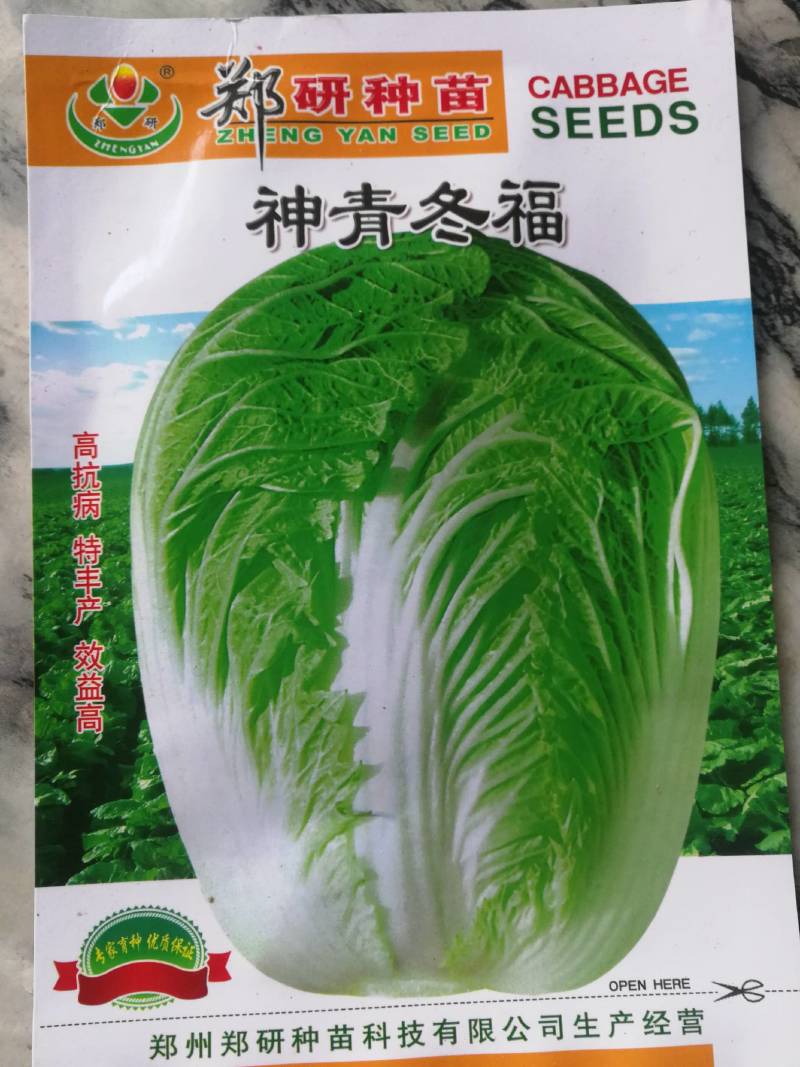 神青冬福大白菜，高抗病，特丰产，效益高。