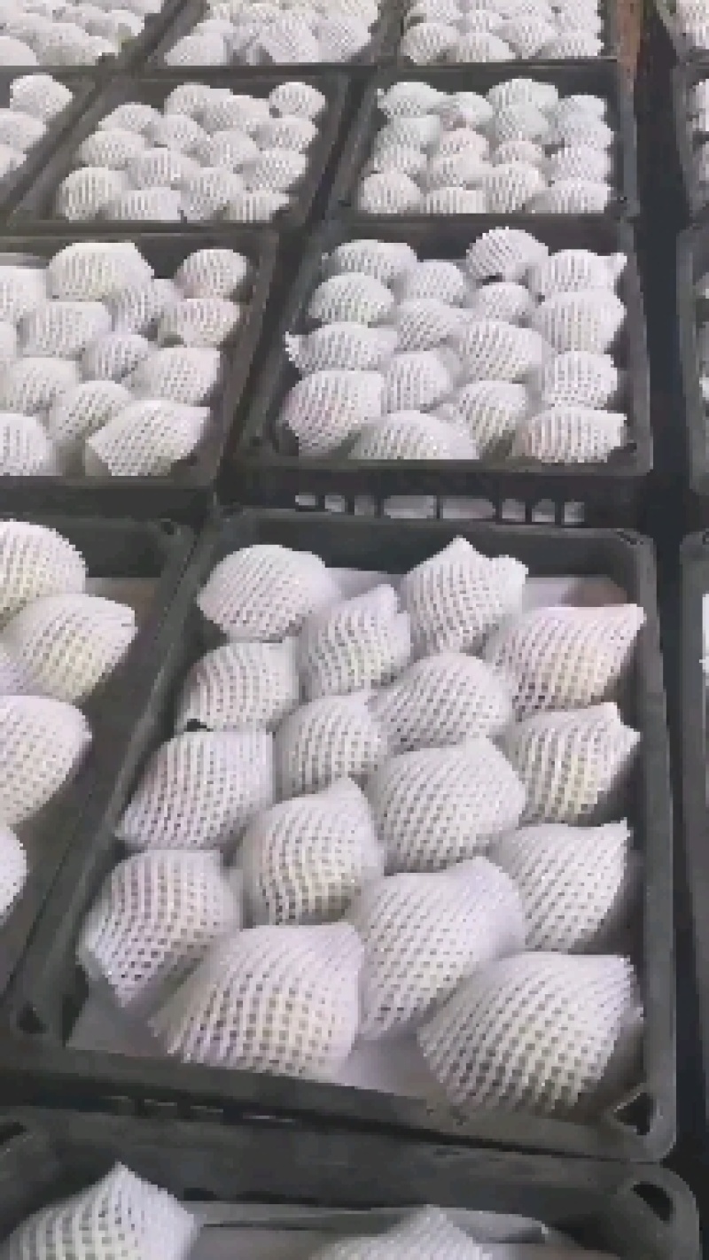 黑筐供应，红薯筐，水果筐厂家大量有货，价格从优，欢迎客商