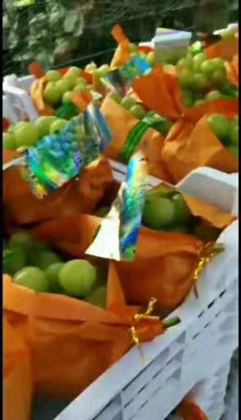 阳光玫瑰大量上市，产地直供，货源充足，欢迎前来选购