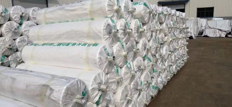 黑白膜大棚膜养殖大棚食用菌大棚苫盖等用途