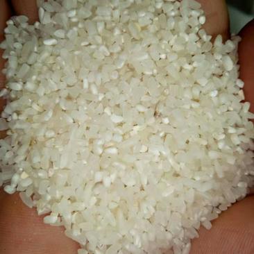 大量供应色选碎米