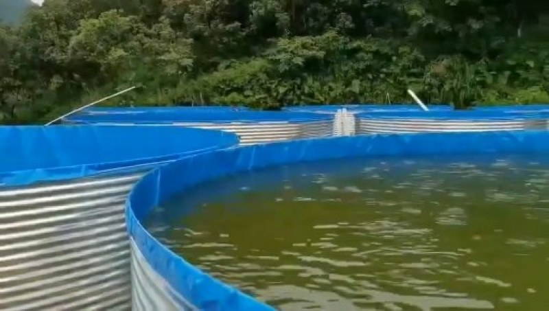 户外大型陆地圆桶养殖帆布池，镀锌板高密度帆布池，种植养殖