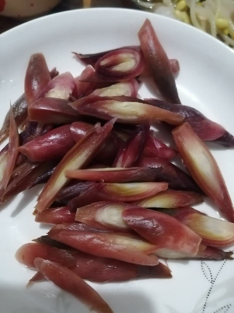 阳荷