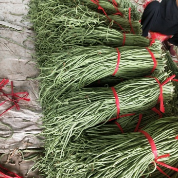 大量一级精品豆角二级豆角货源充足质量优