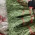 大量一级精品豆角二级豆角货源充足质量优