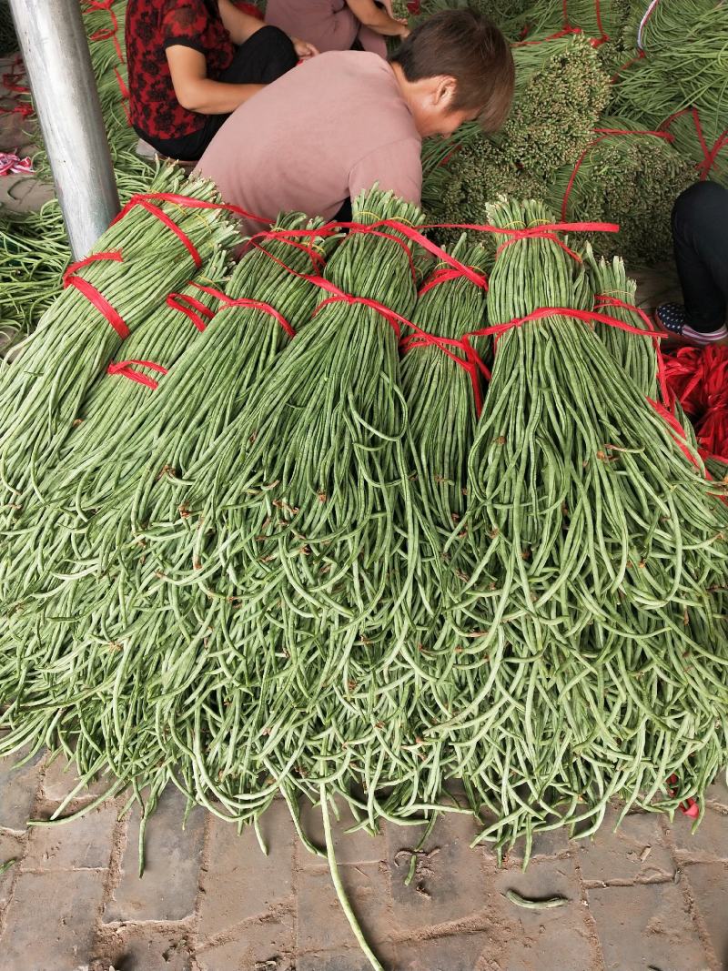 大量一级精品豆角二级豆角货源充足质量优
