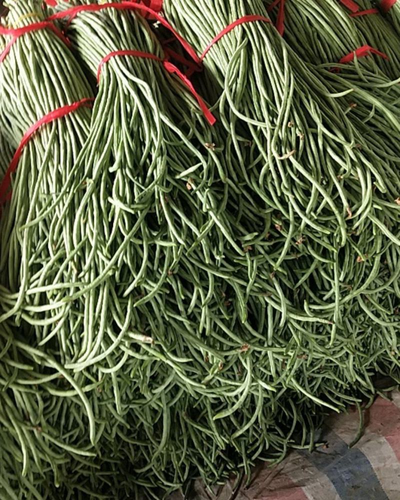 大量一级精品豆角二级豆角货源充足质量优