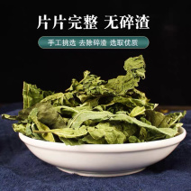 桑叶桑叶茶新鲜霜后冬桑叶中药材齐全量大从优