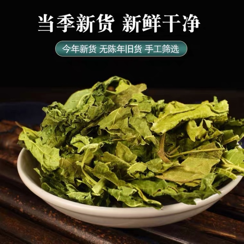 桑叶桑叶茶新鲜霜后冬桑叶中药材齐全量大从优