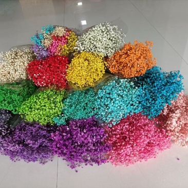 干花永生花满天星勿忘我水晶草情人草鲜花