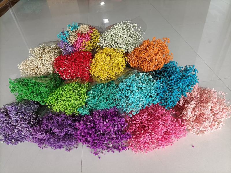 干花永生花满天星勿忘我水晶草情人草鲜花