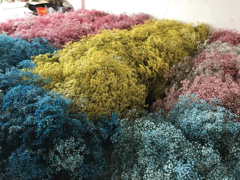 干花永生花满天星勿忘我水晶草情人草鲜花