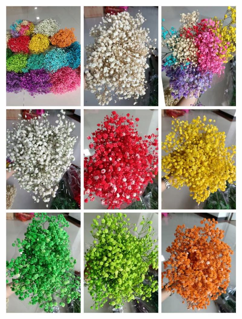 干花永生花满天星勿忘我水晶草情人草鲜花