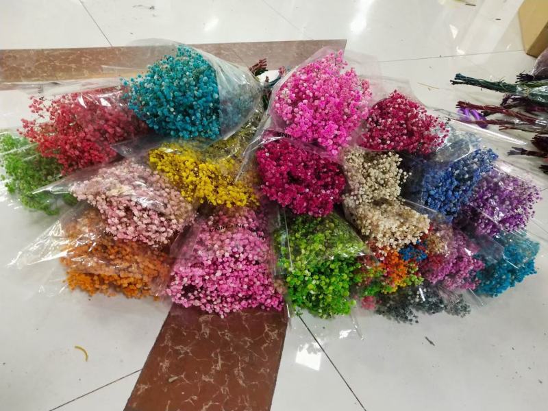 干花永生花满天星勿忘我水晶草情人草鲜花