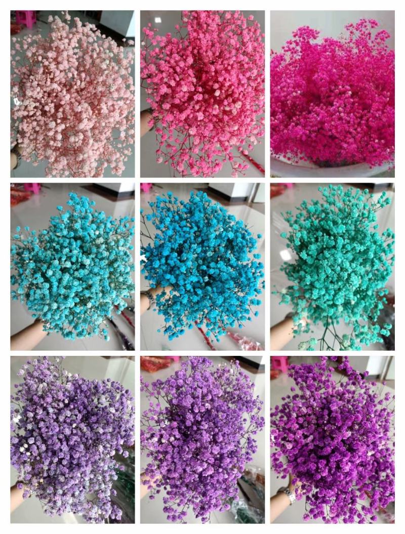 干花永生花满天星勿忘我水晶草情人草鲜花