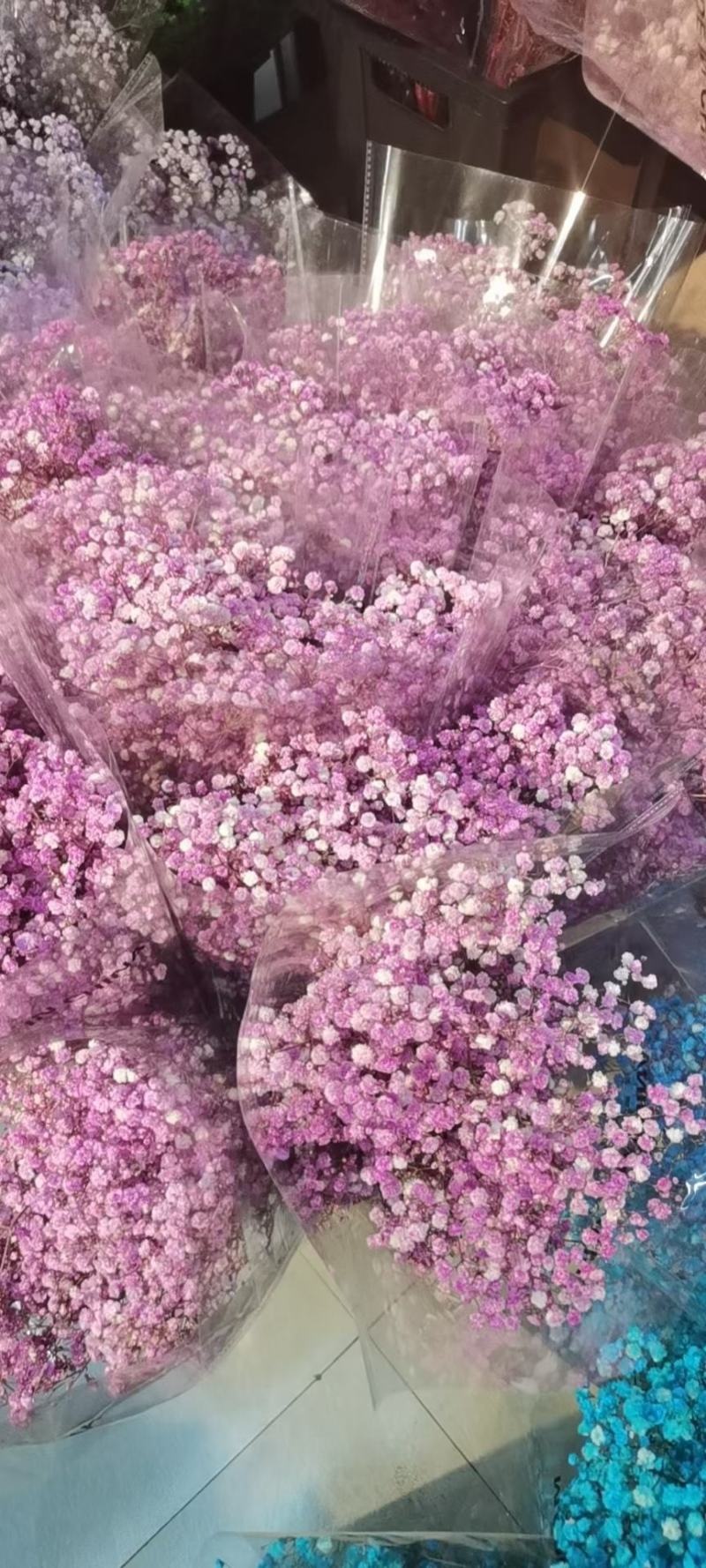 干花永生花满天星勿忘我水晶草情人草鲜花