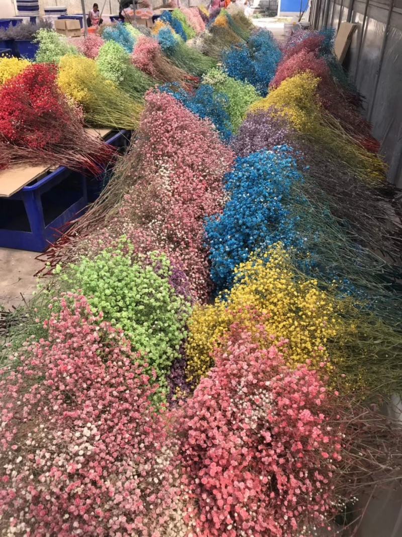 干花永生花满天星勿忘我水晶草情人草鲜花