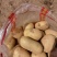 【精品推荐三优产品】陕北定边县纯沙地稀森6号