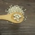 薏米贵州新货薏仁薏米仁薏苡仁五谷杂粮无赤小豆红