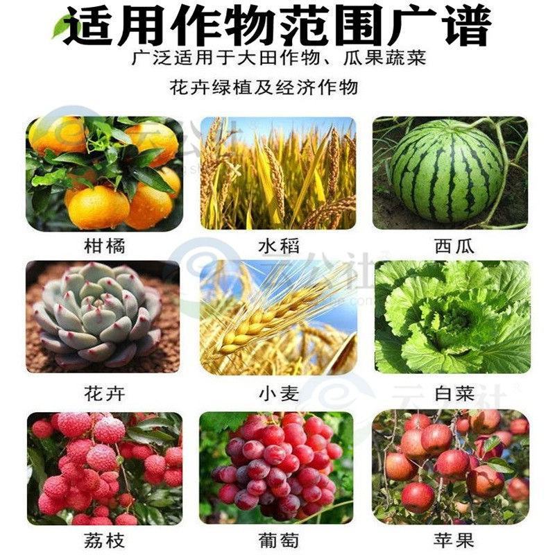 腈菌咪鲜胺炭疽病白粉病叶斑病赤霉病农药杀菌剂