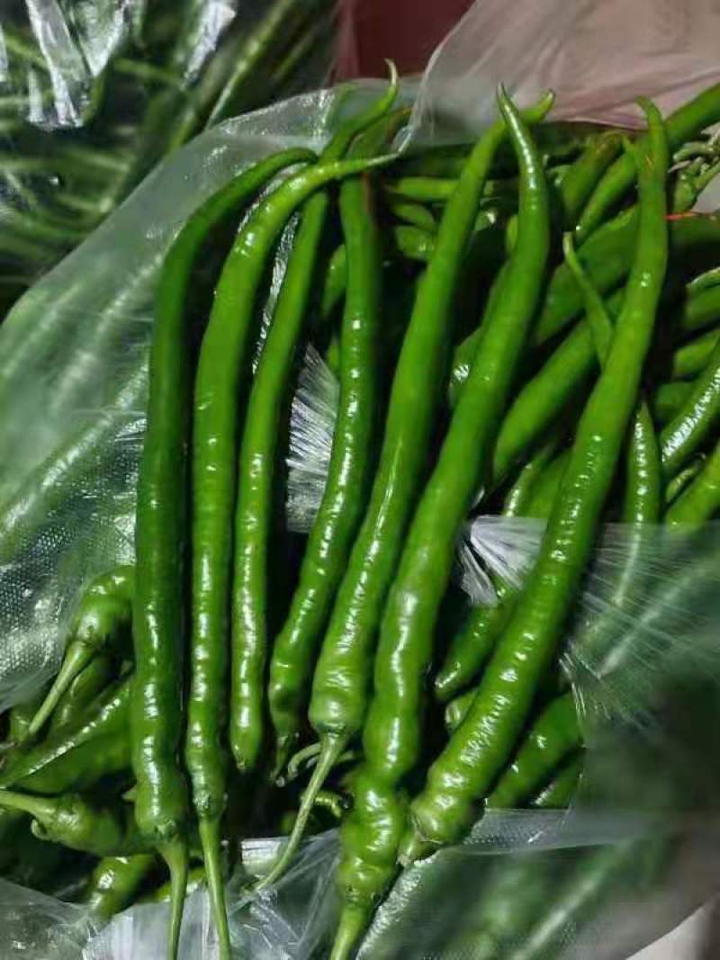 蔬菜