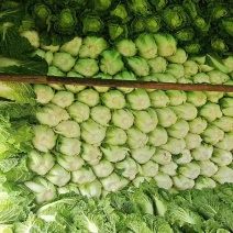 蔬菜