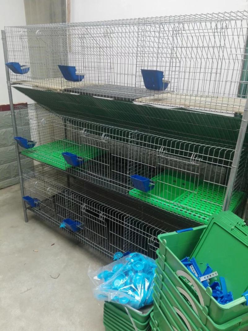 免清粪加粗加密兔笼，还有老式兔笼都带料盒，水嘴等。