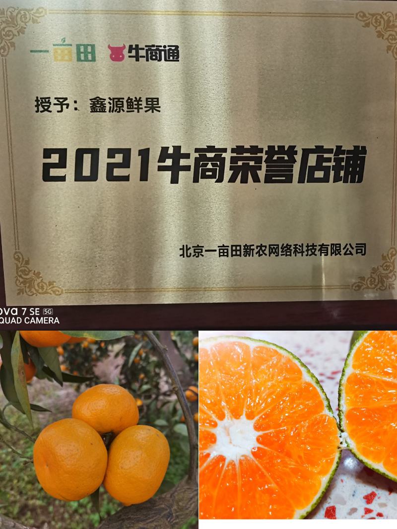 特早蜜橘薄皮化渣，电商货市场货全国可发车