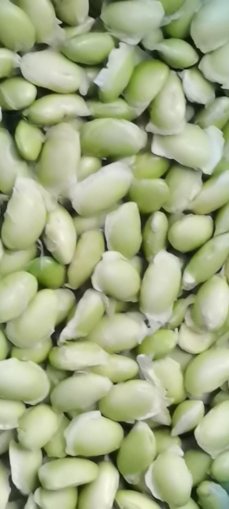 【推荐】江苏新鲜手工毛豆粒大量上市品质保证欢迎来电