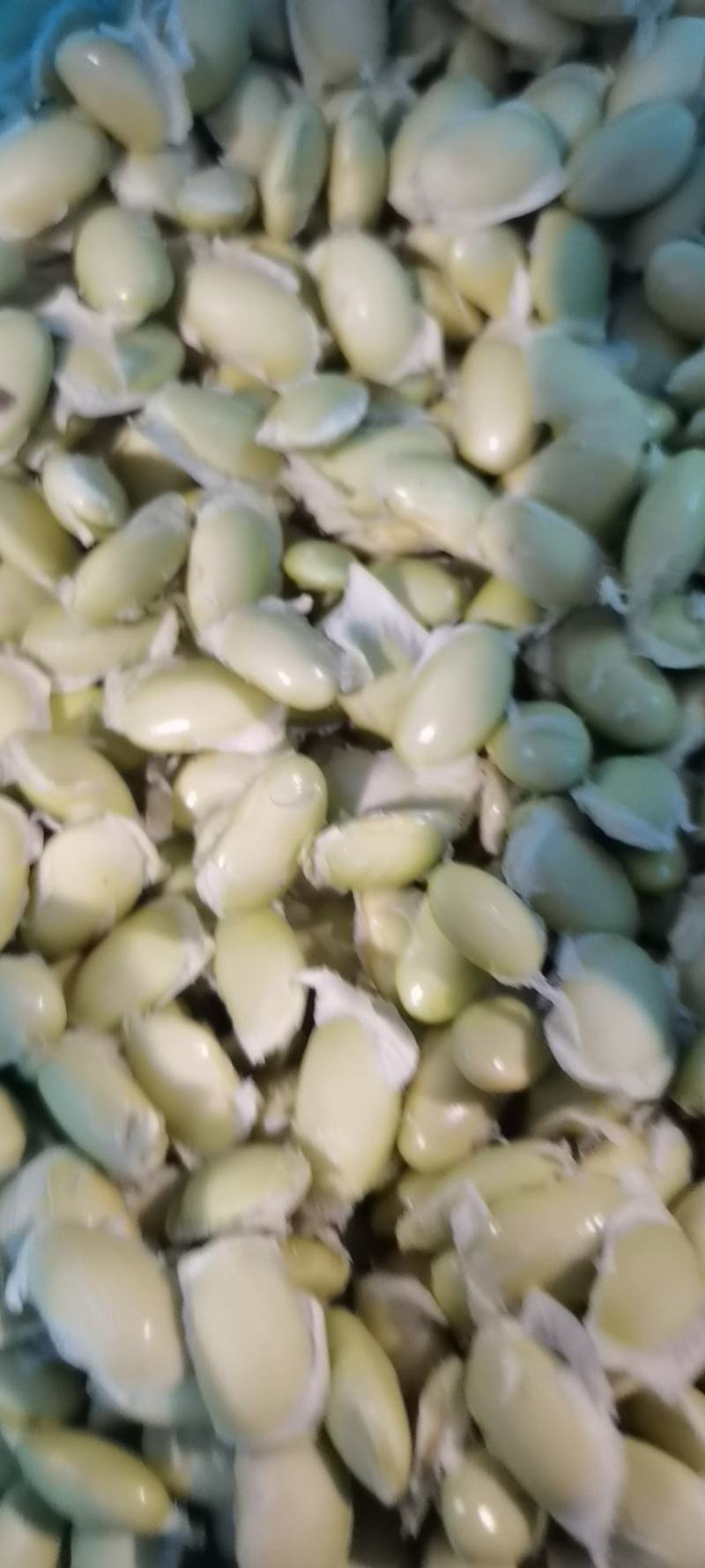 【推荐】江苏新鲜手工毛豆粒大量上市品质保证欢迎来电