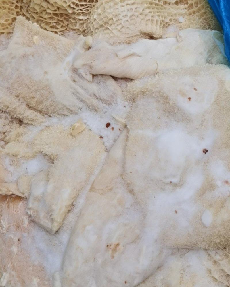 国产纯干半成品牛肚干净，整牛肚质量保证。厂家直销。