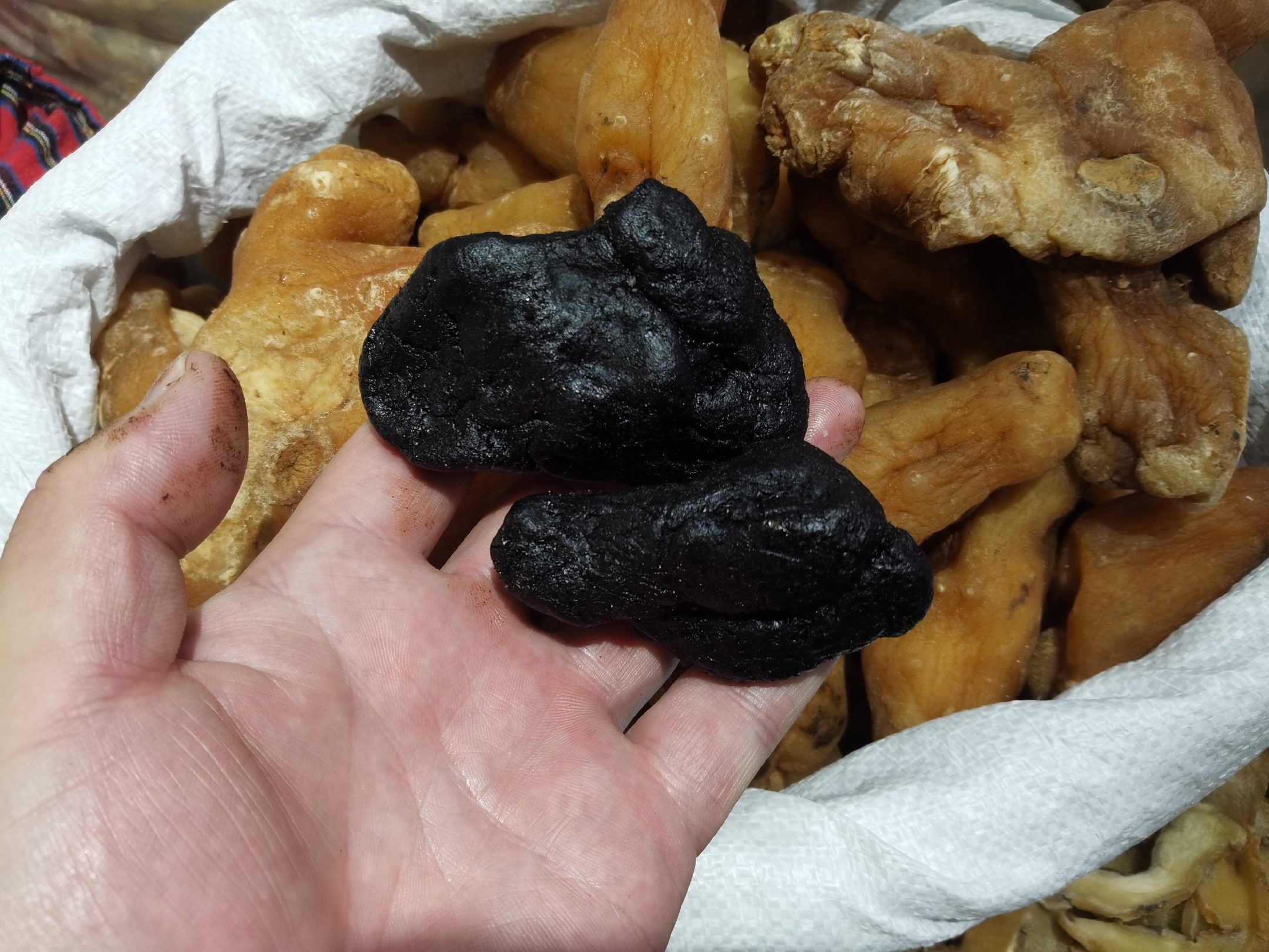 三朝奇方中药组合图