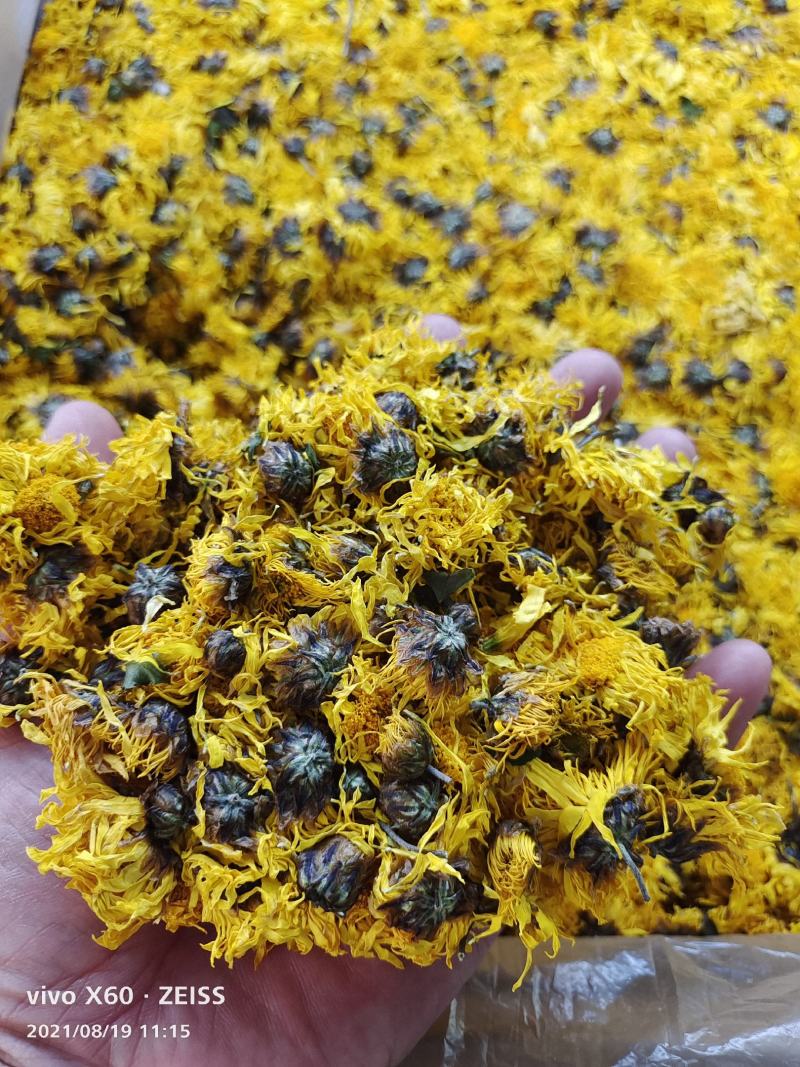 中药材黄菊花，黄菊花批发，零售，产地一手货源，价格实惠