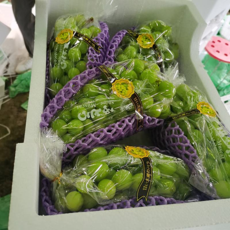萧县优质阳光玫瑰葡萄，一手货源，保正质量，诚信代办