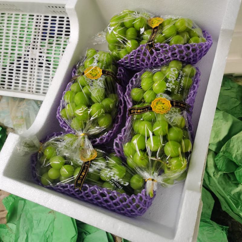 萧县优质阳光玫瑰葡萄，一手货源，保正质量，诚信代办