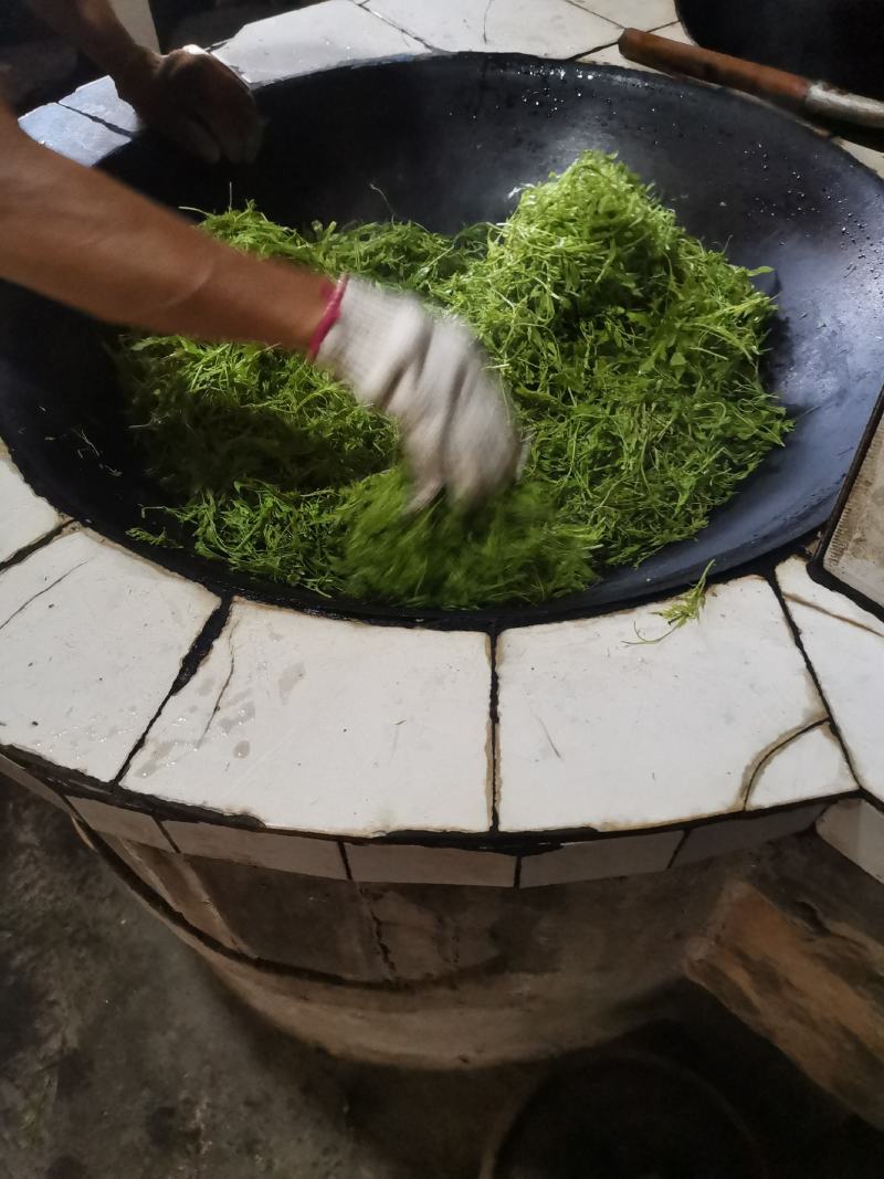 高山莓茶