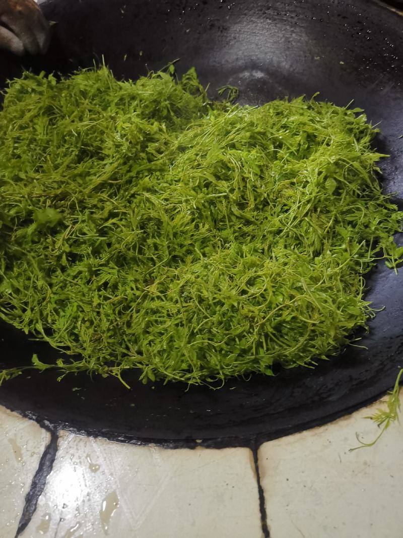 高山莓茶